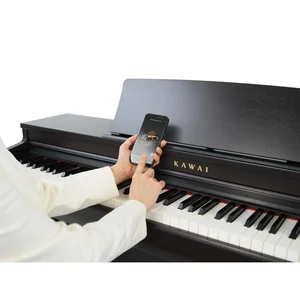 Kawai CN-201 R