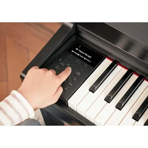 Kawai CN-301 B Set