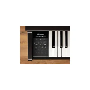 Kawai CN-301 B Set