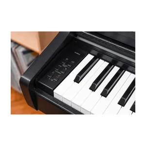 Kawai CX-202 B