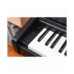 Kawai CX-202 B