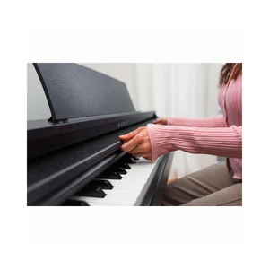 Kawai CX-202 B