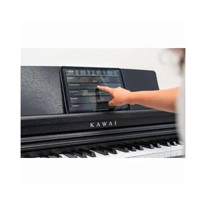 Kawai CX-202 B