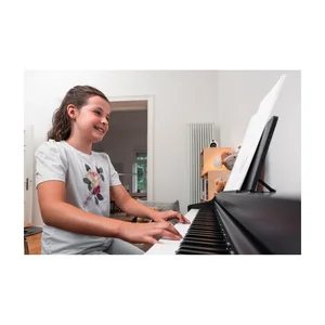 Kawai CX-202 B