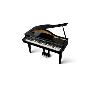 Kawai DG 30 Set