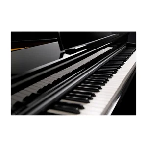 Kawai DG 30 Set