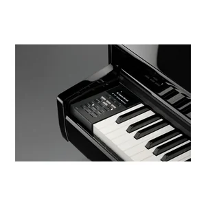 Kawai DG 30 Set