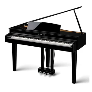 Kawai DG 30