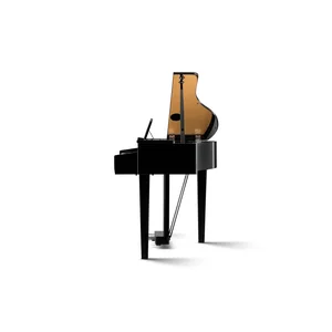 Kawai DG 30