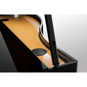 Kawai DG 30