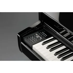 Kawai DG 30