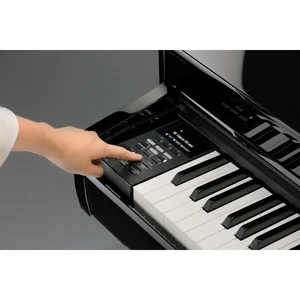 Kawai DG 30