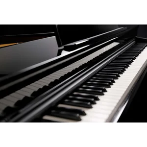 Kawai DG 30