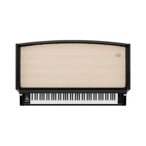 Kawai Novus NV-12
