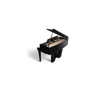 Kawai Novus NV-12