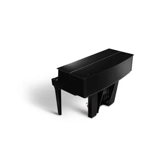 Kawai Novus NV-12