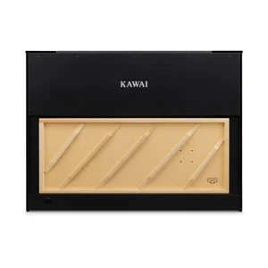 Kawai Novus NV-6