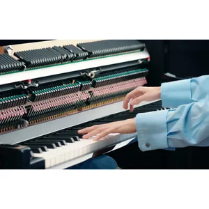 Kawai Novus NV-6
