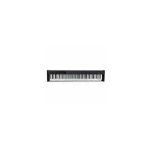 Korg D1 Bag Bundle