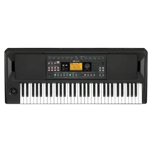 Korg EK-50 Deluxe Bundle