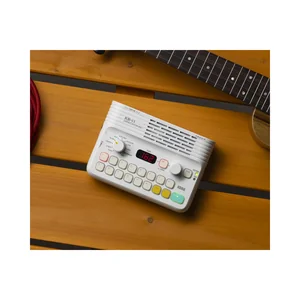 Korg KR-11