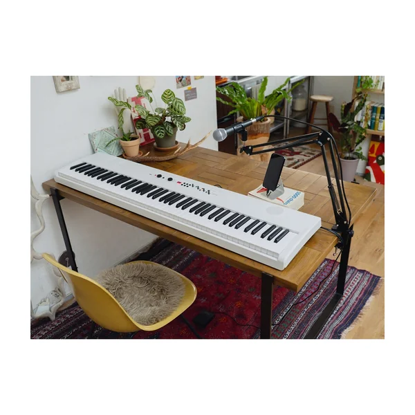 Korg Liano Live!