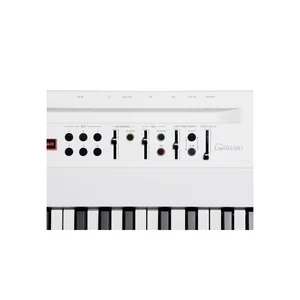 Korg Liano Live!