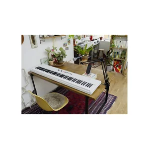 Korg Liano Live!