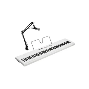 Korg Liano Live!