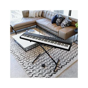 Korg Liano