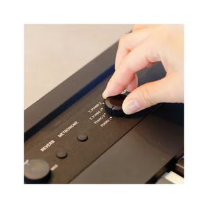 Korg Liano