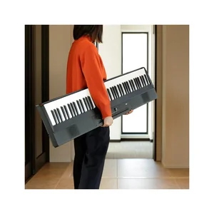 Korg Liano