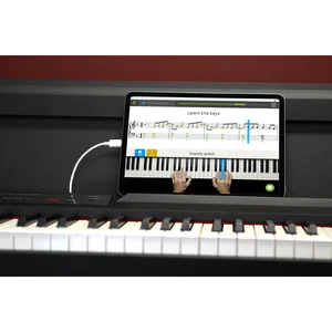 Korg LP-380U BK Set
