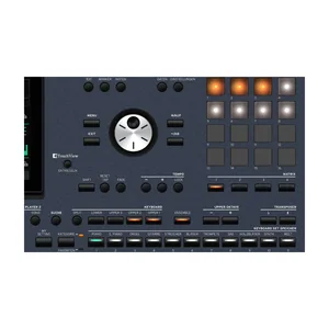 Korg PA-5X 61 Musikant