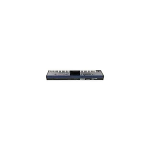 Korg PA-5X 76 Musikant