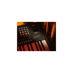 Korg PA-5X 76 Oriental