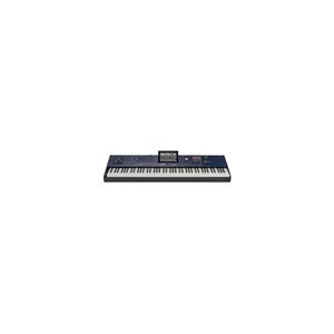 Korg PA-5X 88 Musikant