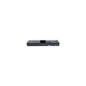 Korg PA-5X 88 Musikant