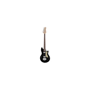 Lakland Skyline Hollowbody-30 4 BG