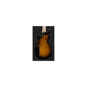 Lakland Skyline Hollowbody-30 4 TSG