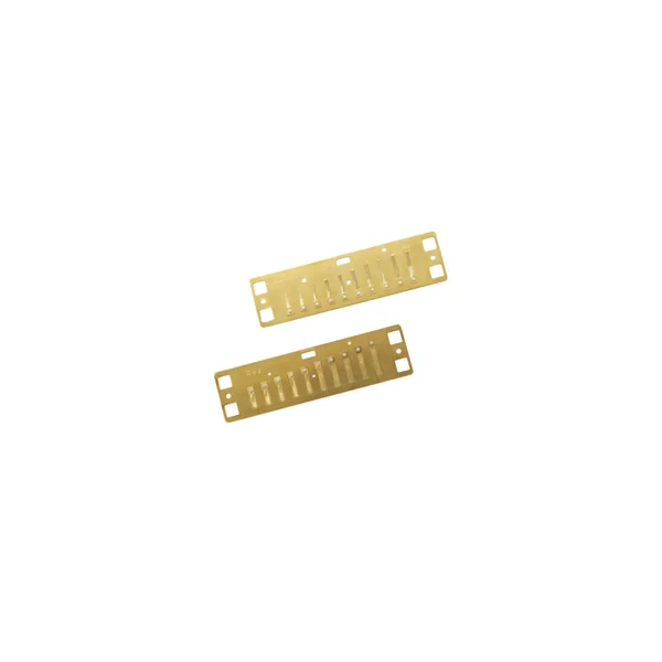 Lee Oskar Harmonic Minor Reedplates F#