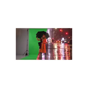 Manfrotto LL LB7781 Chroma Key Green