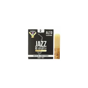 Marca Jazz filed Alto Saxophone 2.0