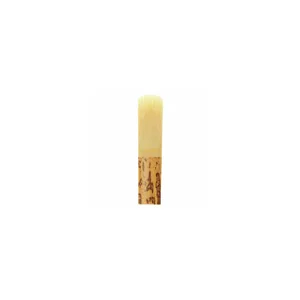 Marca Jazz filed Alto Saxophone 2.0