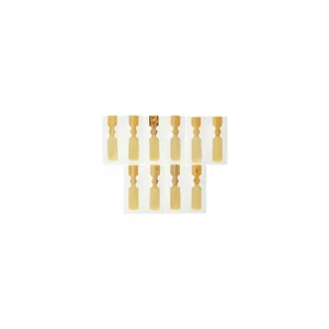 Marca Jazz filed Alto Saxophone 2.0