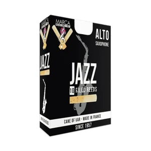 Marca Jazz filed Alto Saxophone 2.0