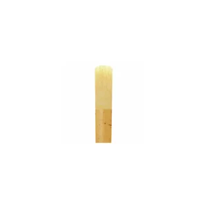 Marca Jazz filed Alto Saxophone 3.0