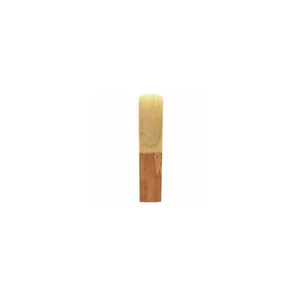 Marca Premium Alto Saxophone 2.0