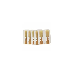 Marca PriMo Alto Saxophone 2.0