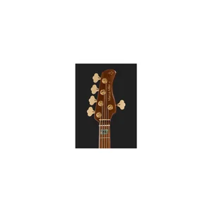 Marcus Miller V10DX-5 TS